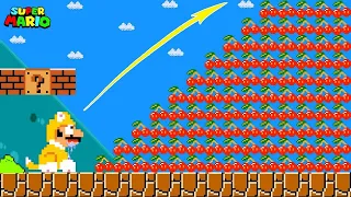 Can Cat Mario collect 999 Doubl Cherries in New Supe Mario Bros.Wii?? | Game Animatio