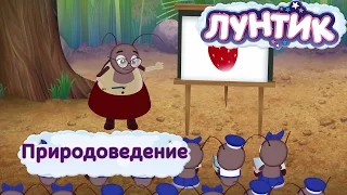 Лунтик - Природоведение. Трейлер новой 462 серии.