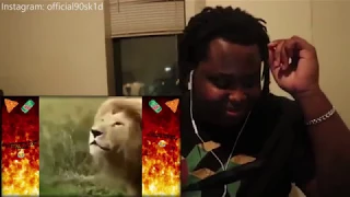 ULTIMATE DANK MEMES COMPILATION #73 REACTION