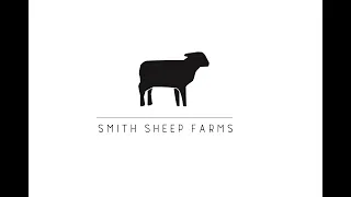 Sheep Chores - January 2019