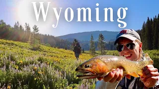 One Trip & Perfect timing: Fly Fishing Wyoming's scenic Tri-Basin Divide