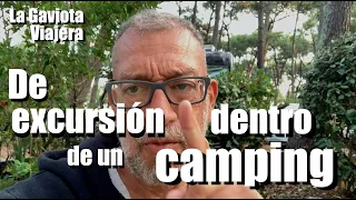 La Gaviota Viajera #134: De EXCURSIÓN DENTRO de un CAMPING