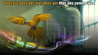 Pierre Perret - La cage aux oiseaux (chœurs) (1971) [BDFab karaoke]