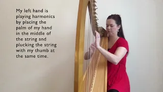 Suzuki Book 2 Recital on Lever Harp