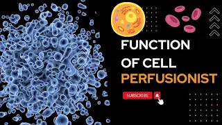 "Function of Cells"