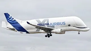 Airbus Beluga #shorts #aeromachinex #airbusbeluga