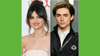 Selena Gomez and Timothée Chalamet Just Went Live on Instagram to Get Out the Vote