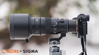 Unleash Unparalleled Precision with the Sigma 500mm F5.6 DG DN OS Sports Lens | Nuzira #photography