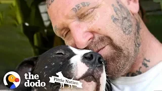 Guy Fills His Home With Pitties No One Wants  | The Dodo Pittie Nation