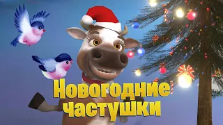 Новогодние Частушки 2024 🌲 @Dolphin92