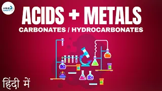 Acids Bases and Salts - Lesson 08 | How do Acids react with Metal Carbonates & Metal Hydrocarbonates