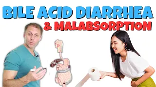 Understanding Bile Acid Diarrhea and Bile Acid Malabsorption