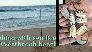 Fishing with sea lice at Westbrook beach| Fishing Durban South Africa