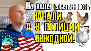 На нашу собственность напали, а у полиции - выходной!