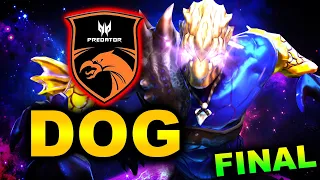 TNC vs TEAM DOG - GRAND FINAL - BTS PRO SERIES S4 DOTA 2