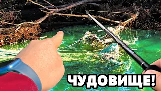 СЧУПИХ си РЕКОРДА за КЕФАЛ!!! Риболов на щука и клен