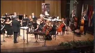 N.Rimsky-Korsakov. Flight of The Bumblebee. Ukrainian Radio Symphony Orchestra