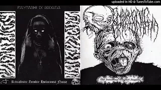 Embryonic Cryptopathia / Fantasmi Di Sodoma – Split