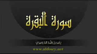 سورة البقره كامله للشيخ ياسر الدوسري بدون اعلانات