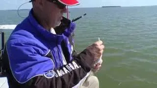 Key Largo Sea Trout - Sportsman's Adventures with Captain Rick Murphy