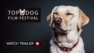 Top Dog Film Festival - UK Tour