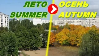 ПЕРЕХОД ЛЕТА В ОСЕНЬ / SUMMER TO AUTUMN