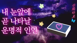 [타로/연애💗]내 눈 앞에 곧 나타날 운명적 인연 🌈🌈