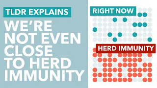 Why We're Not Achieving Coronavirus Herd Immunity & How it Impacts a 2nd Wave - TLDR News