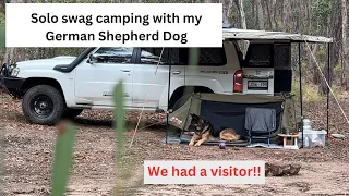 Ep 6 - Solo swag camping with my German Shepherd Dog - we had a visitor!