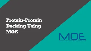 Bioinformatics: Protein Protein Docking Using MOE | BioCode Ltd