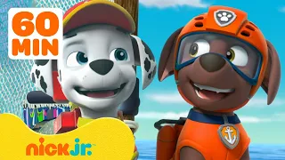 PAW Patrol Helps Adventure Bay Animals! w/ Marshall, Zuma & Skye | 30 Minute Compilation | Nick Jr.