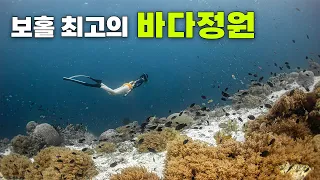 The most beautiful underwater garden in Bohol, Punto | Freediving tour | Balicasag Island