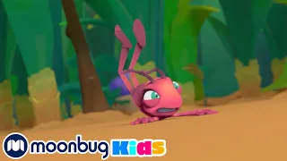 Gone With the Wind | ANTIKS | Moonbug Kids - Funny Cartoons and Animation