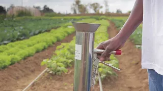 Vegetable Seedling Planter