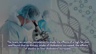 New Model Estimates the Effects of Dioxin on Liver Cholesterol