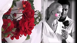 РОЗЫ ДЛЯ МОЕЙ ЛЮБВИ... розы для моей судьбы...    Сергей Орлов --   Розы для моей любимой