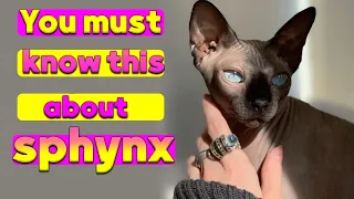 living with sphynx cats : a guide to care , love , and unique companionship