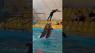 Одесский дельфинарий #одеса #одесса #море #odesa #sea #odessa #дельфины #дельфинарий
