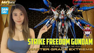 Cyn Workshop | Strike Freedom Gundam Master Grade Extreme