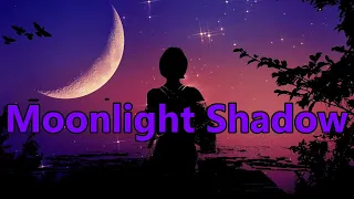 Mike Oldfield ft. Maggie Reilly – «Moonlight Shadow»  AKAI GX F-91.