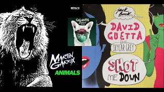 Animals (Martin Garrix) X Shot Me Down (David Guetta) X Runaway (Galantis) - Hyptricity Mashup