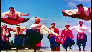 Dance of the Zaporozhye Cossacks - the Alexandrov Red Army Ensemble (1965)