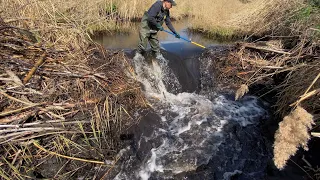 NECK LEVEL HEIGHT BEAVER DAM REMOVAL!