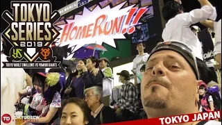 Japanese baseball game experience | The TOKYO Series