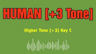 Rag'n'Bone Man Human Karaoke 12 tones _ Higher tone +3 _ Key C