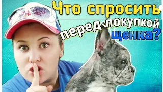 При покупке щенка ты обязан это узнать! Вопросы заводчику. Мокрый нос.