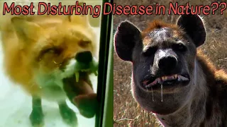 Animal Diseases that Belong in a Horror Movie