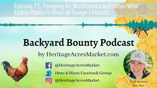 Episode 71: Foraging for Mushrooms and Other Wild Edible Plants Ft Orion of Forage Colorado