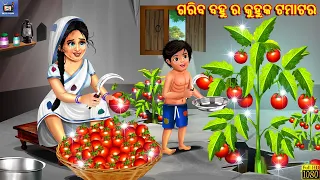 Gariba bahu ra kuhuka tamatar | Odia Stories | Odia Moral Stories | Odia Gapa | Odia Cartoon | Odia