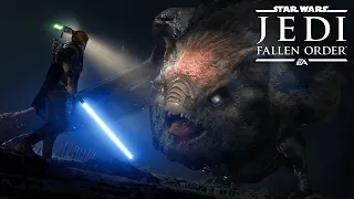 Star wars - Jedi Fallen Order  - RX580 1920x1080 resolution